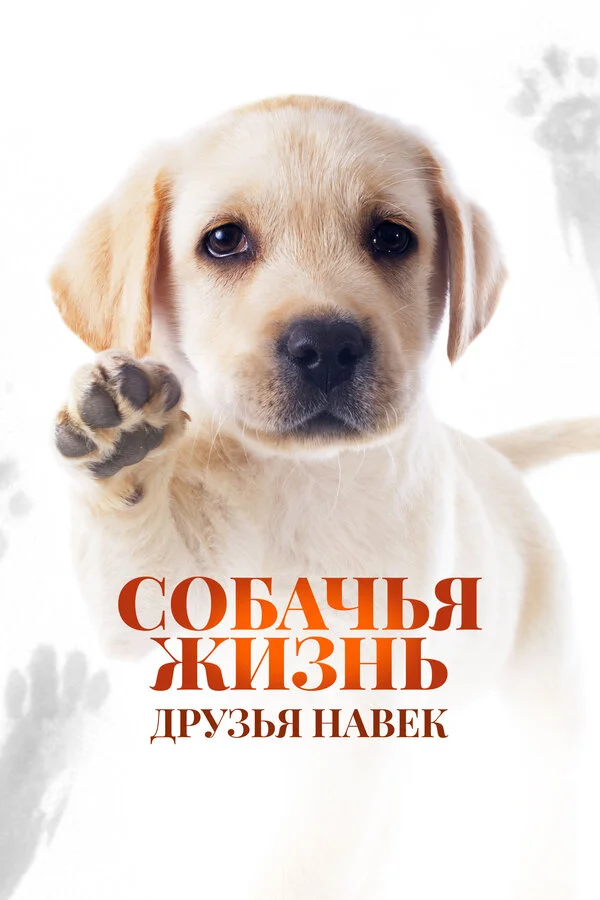 Смотреть Собачья жизнь: Друзья навек онлайн бесплатно в HD качестве на русском языке